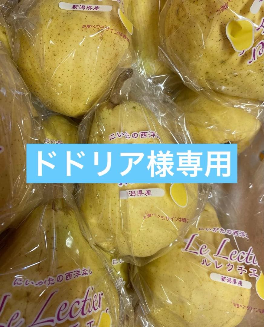 ドドリア