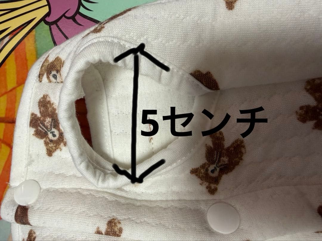 犬服