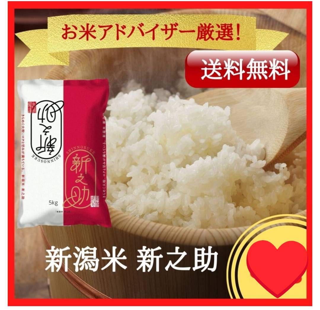 新潟県産 新之助 白米 10kg(5kg×2袋)