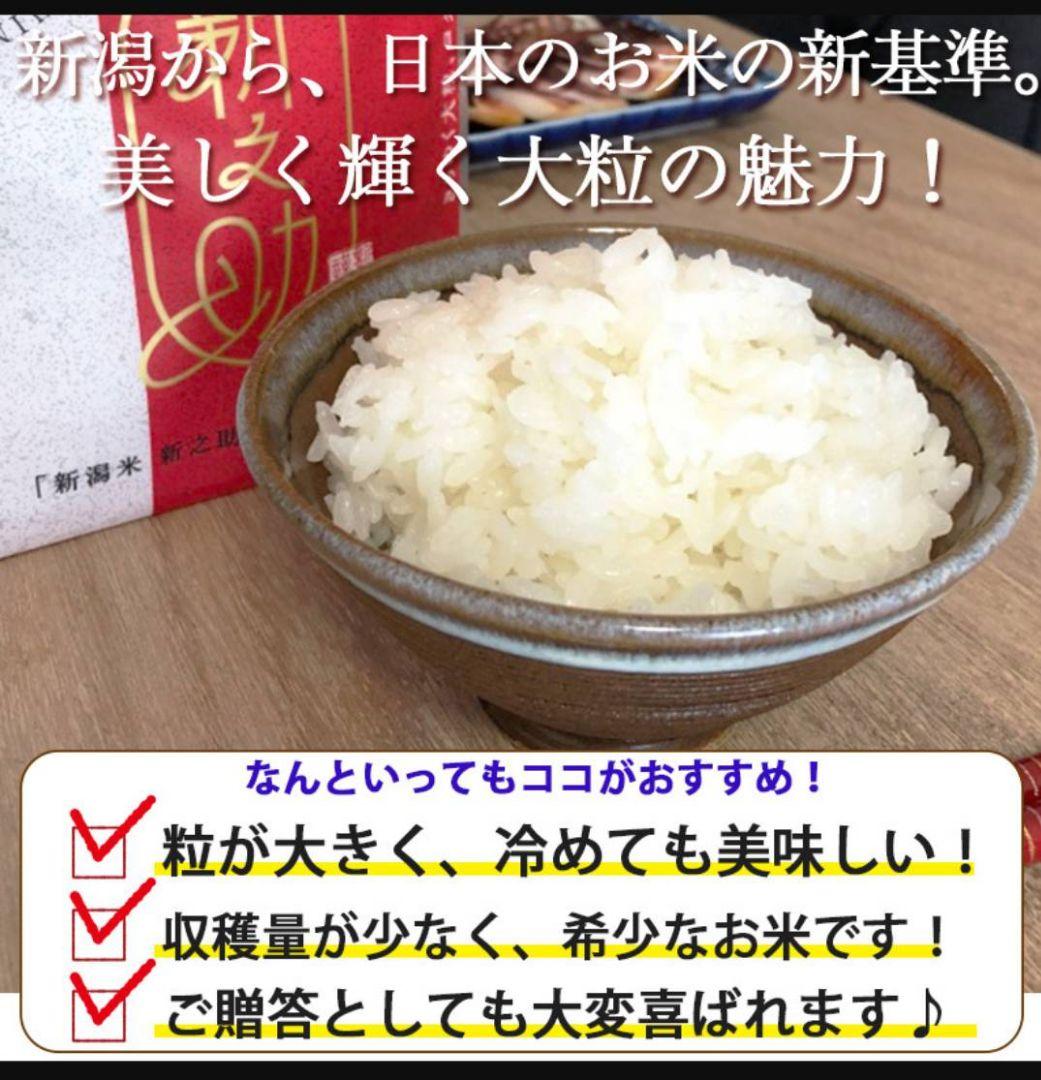 新潟県産 新之助 白米 10kg(5kg×2袋)