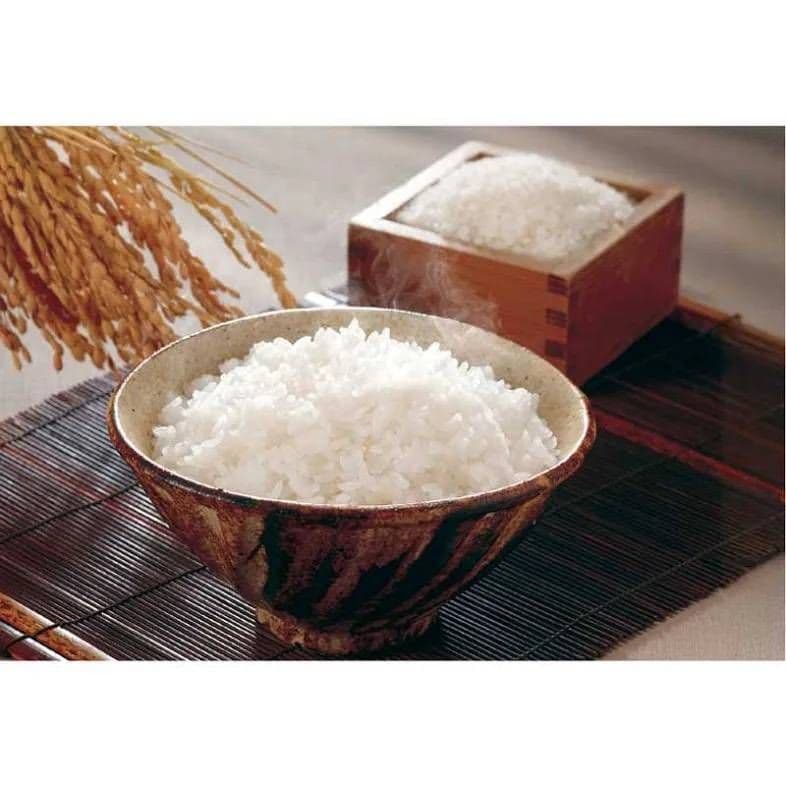 新潟県産 新之助 白米 10kg(5kg×2袋)