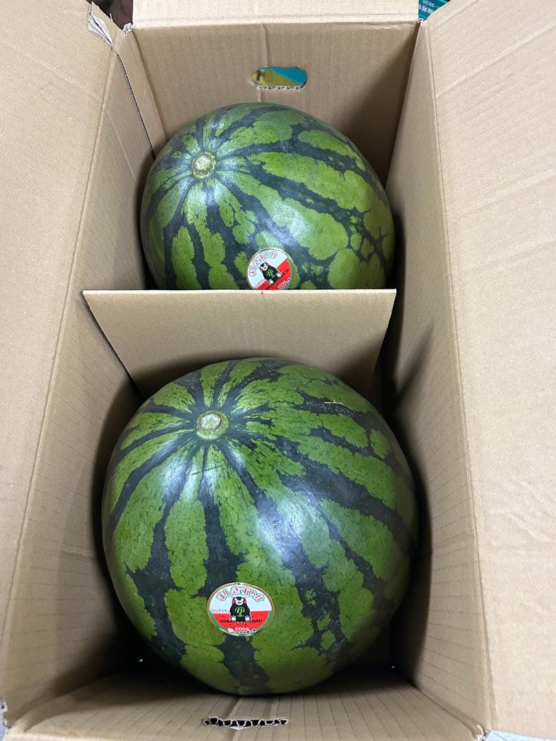 熊本県スイカ3Lサイズ2玉入り　約19kg