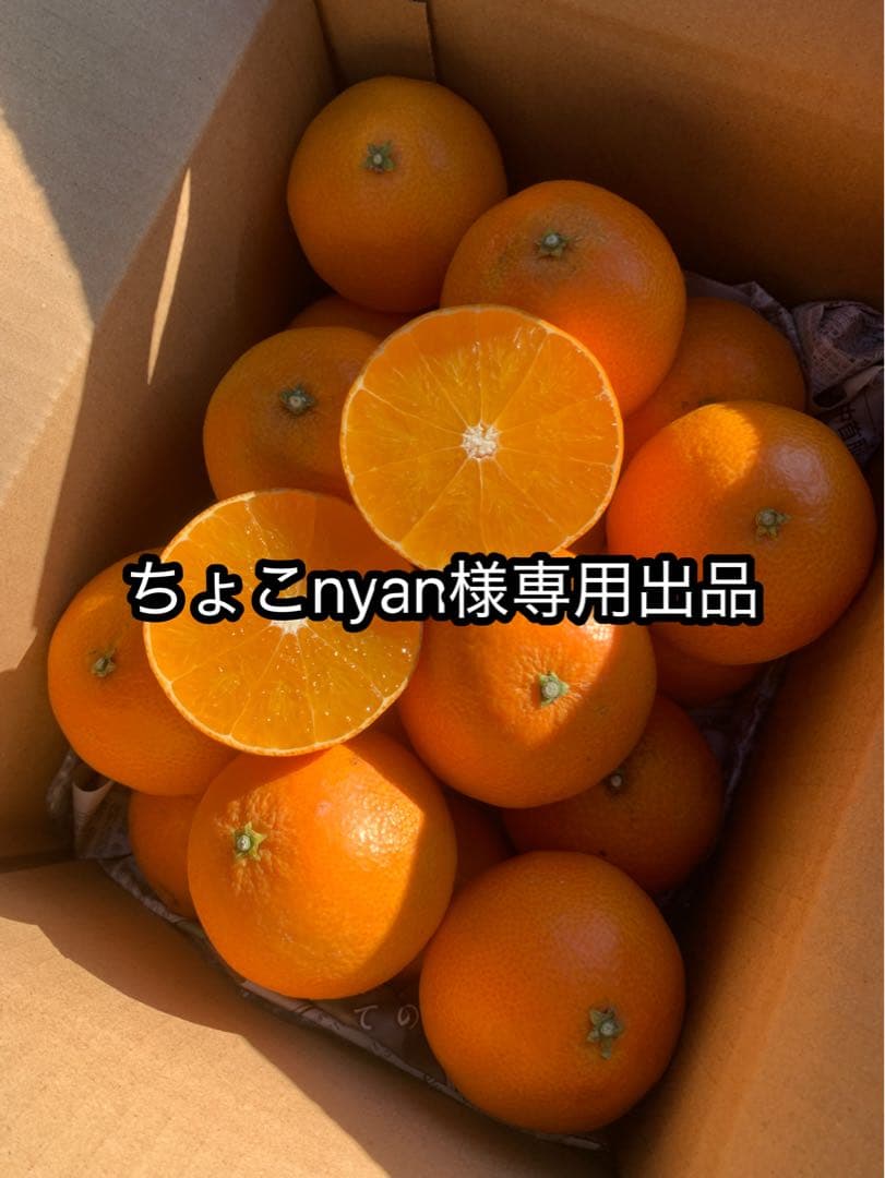 ちょこnyan出品