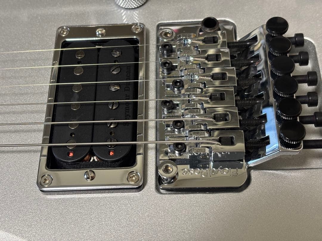 【超美品】ESP FOREST-GT Custom Color Silver