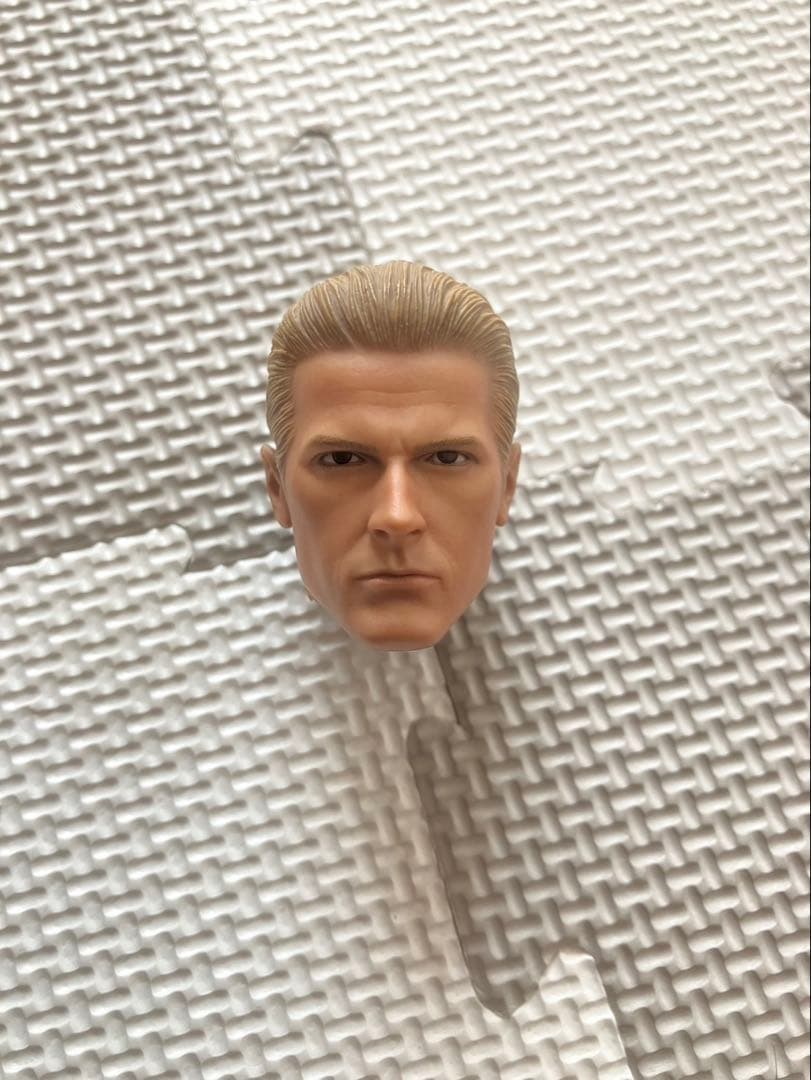 1/6 ホットトイズ　ウェスカー　ヘッド　中古