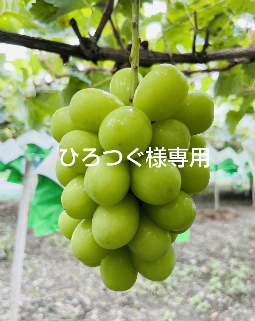 ひろつぐページ