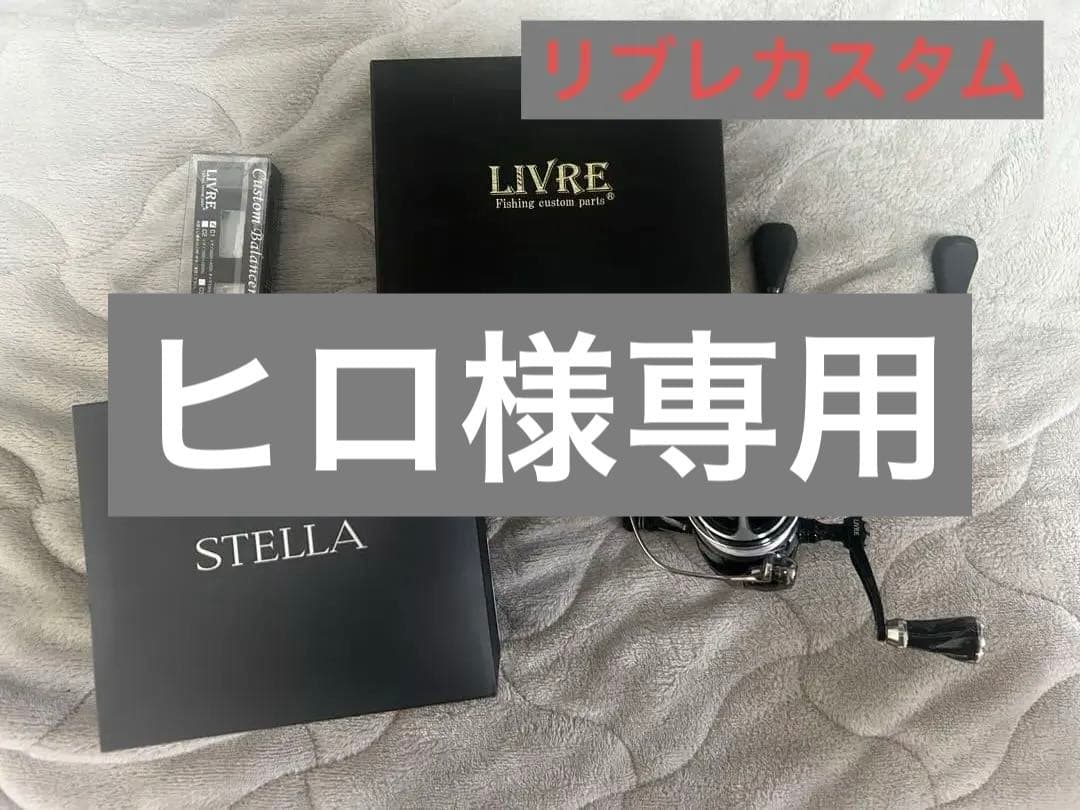 ヒロ22ステラC3000SDH