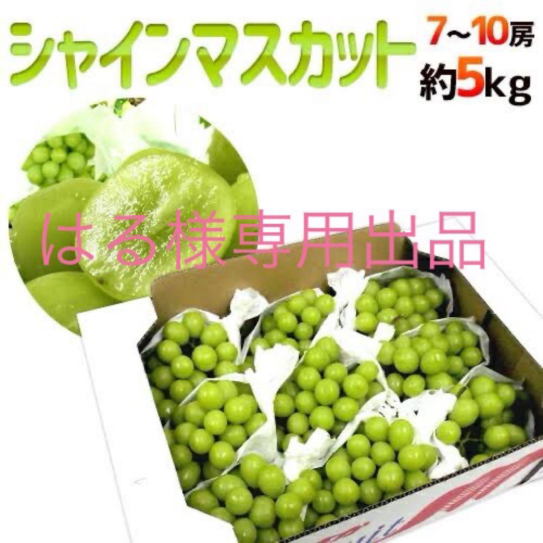 はる出品　高級シャインマスカット大粒5kg