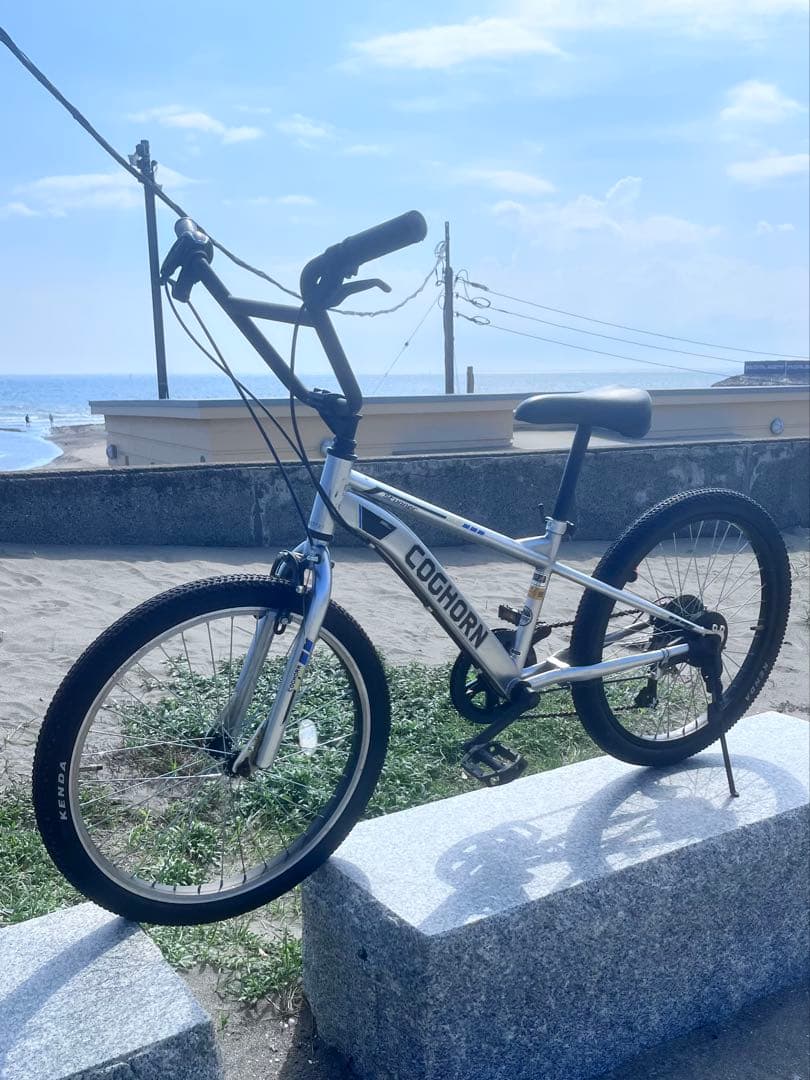 伊佐祐毅 さん専用COCHORN BMX 22インチ