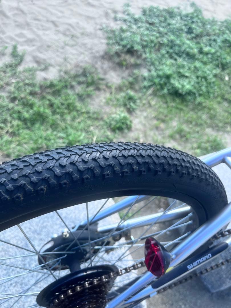 伊佐祐毅 さん専用COCHORN BMX 22インチ