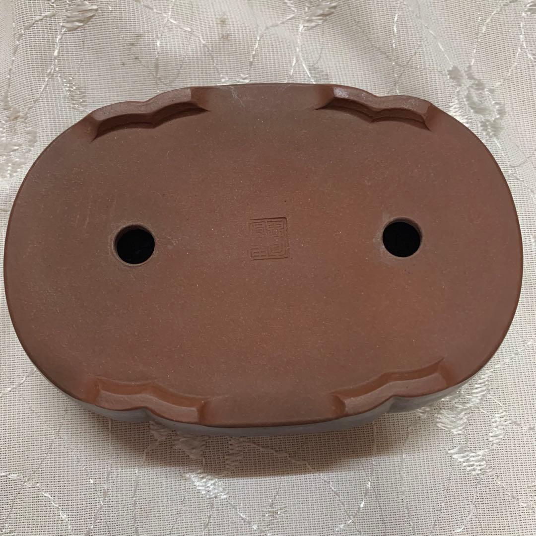 盆栽鉢もっこ