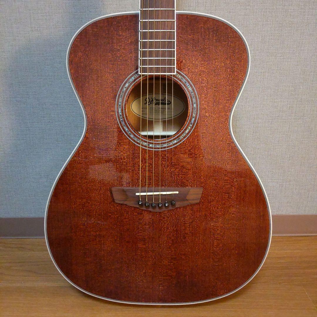 ギター D'angelico EXCEL tammany xt