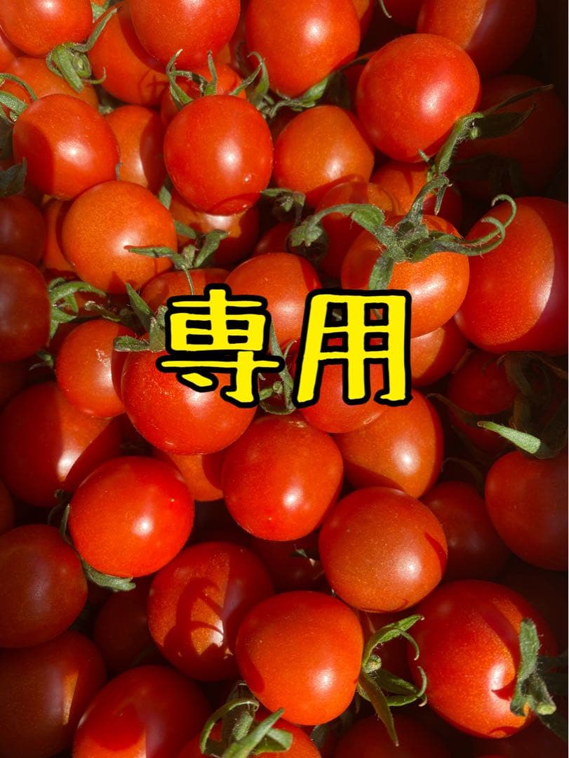 野菜 Ruka 8kg