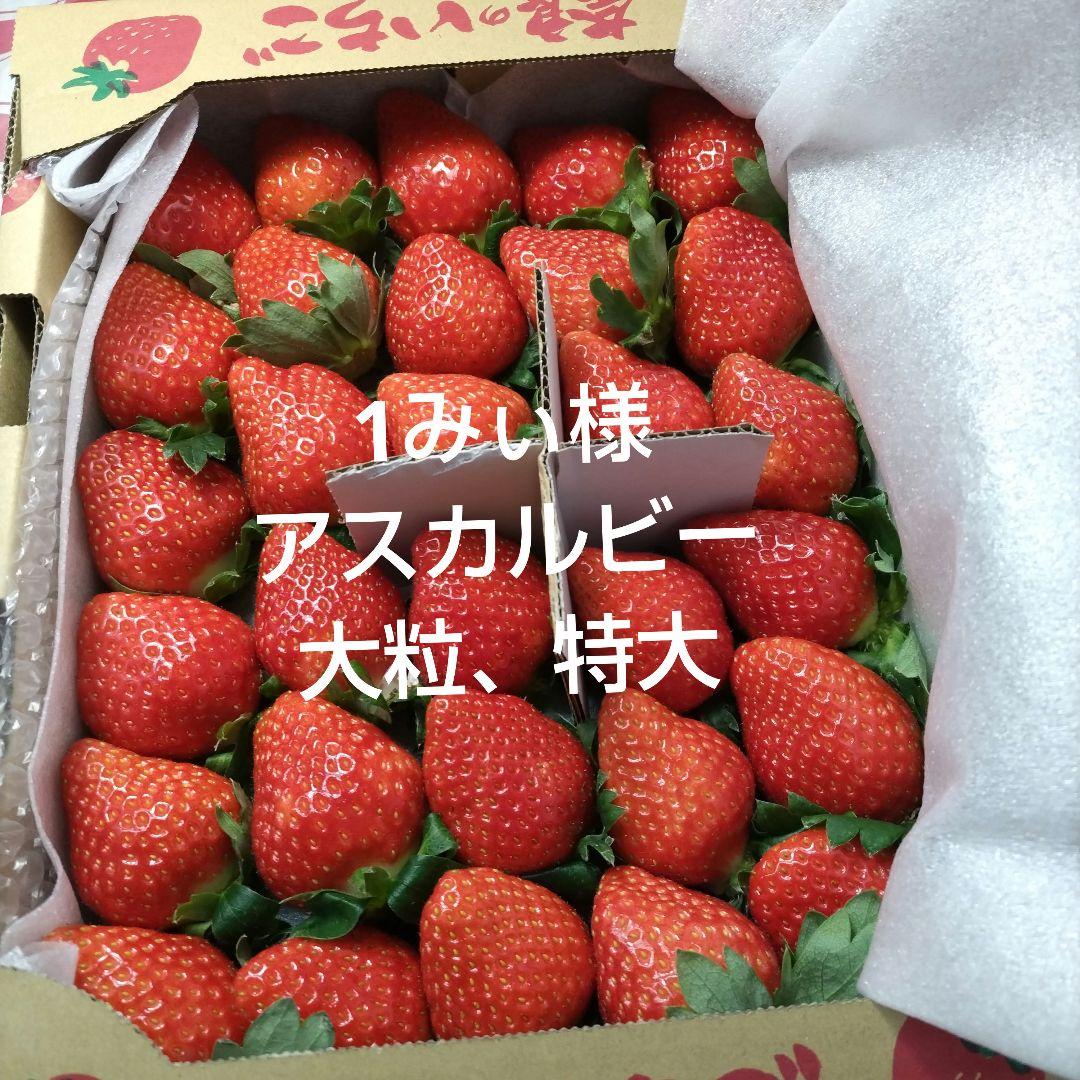 1イチゴ大粒特大 アスカルビー 2箱
