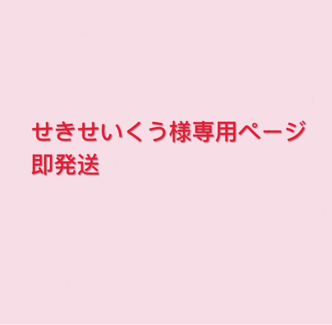 即発送 せきせいくうページ