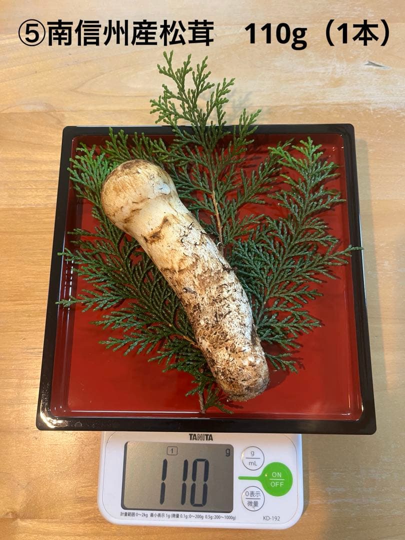 松茸110g（1本）長野県産松茸　南信州産松茸　国産松茸