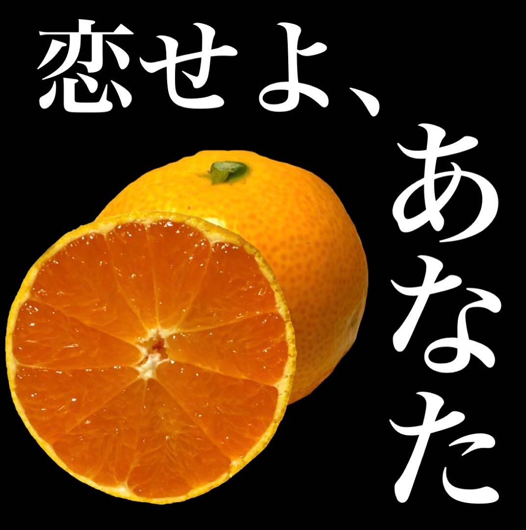 果物 5kg