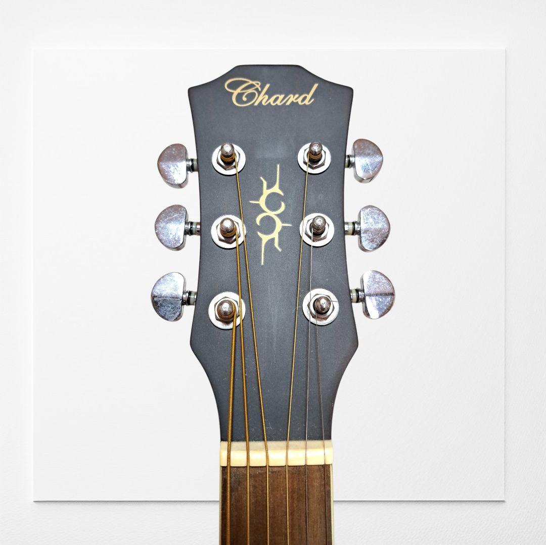 Chard Guitar　C3000　シリアルナンバー入り