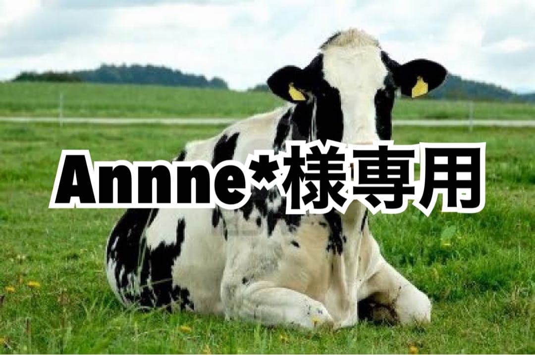 画像内容