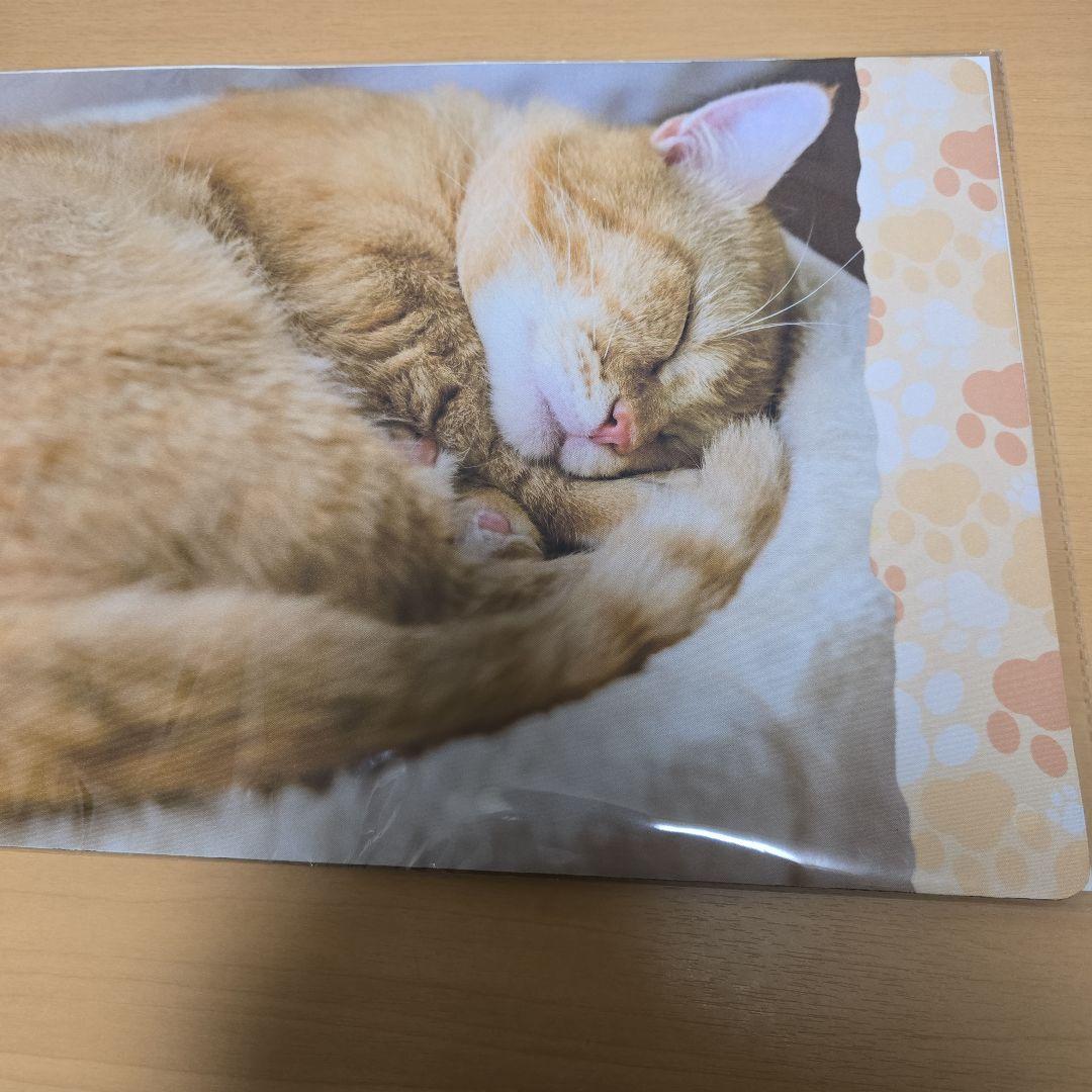 【未開封、匿名配送】トレカアイテムくじ　猫これくしょん　2点セット