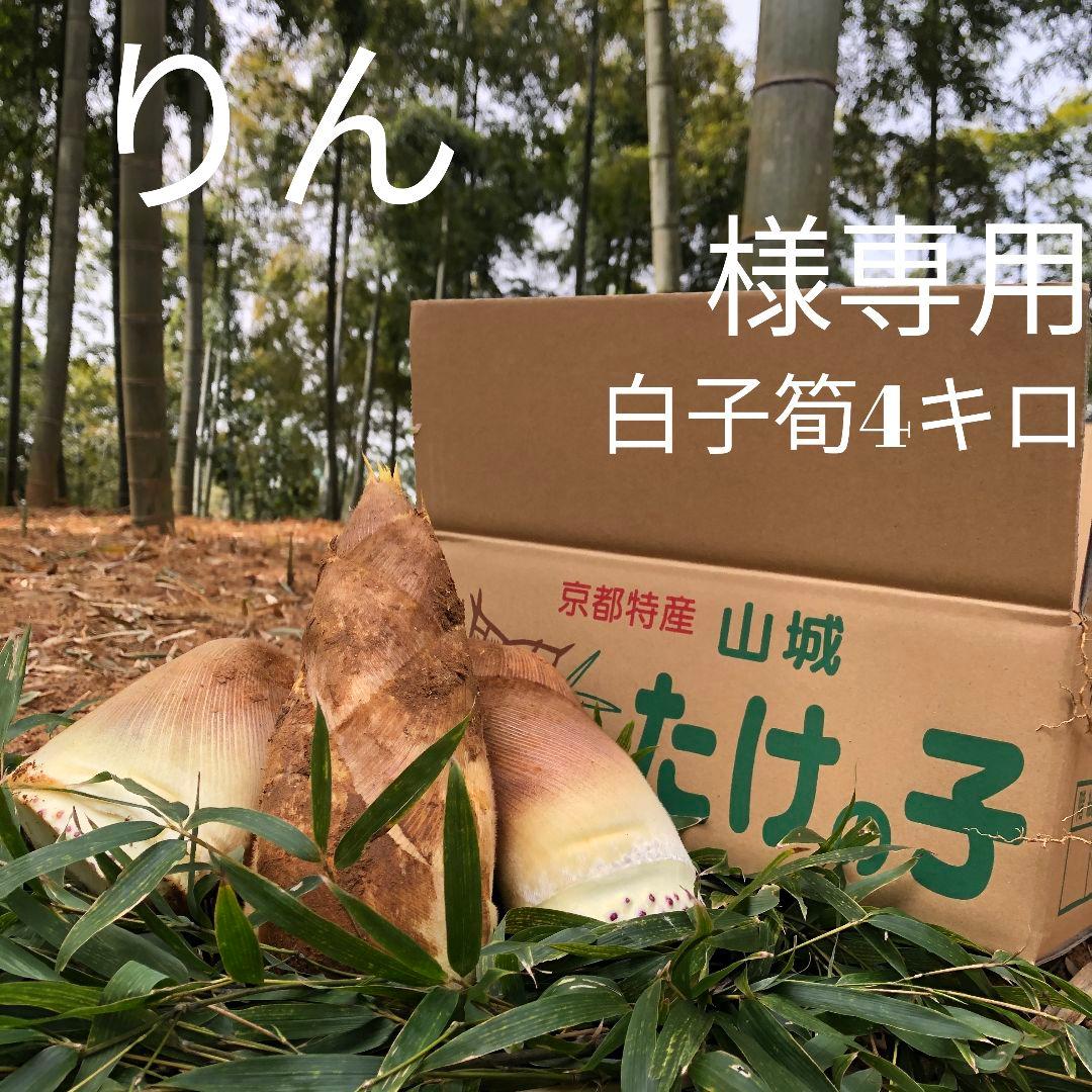りん 白子筍 4キロ