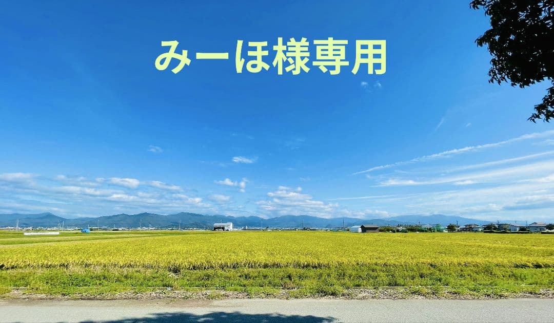 みーほ