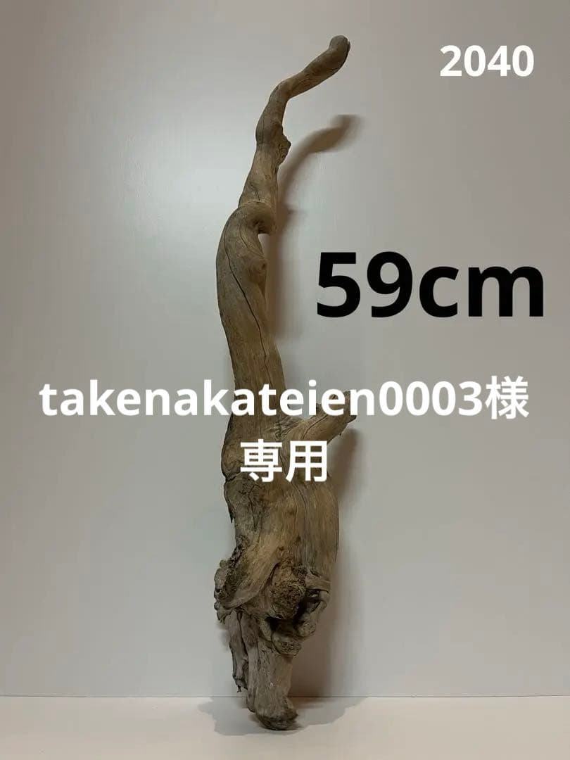 流木　8点