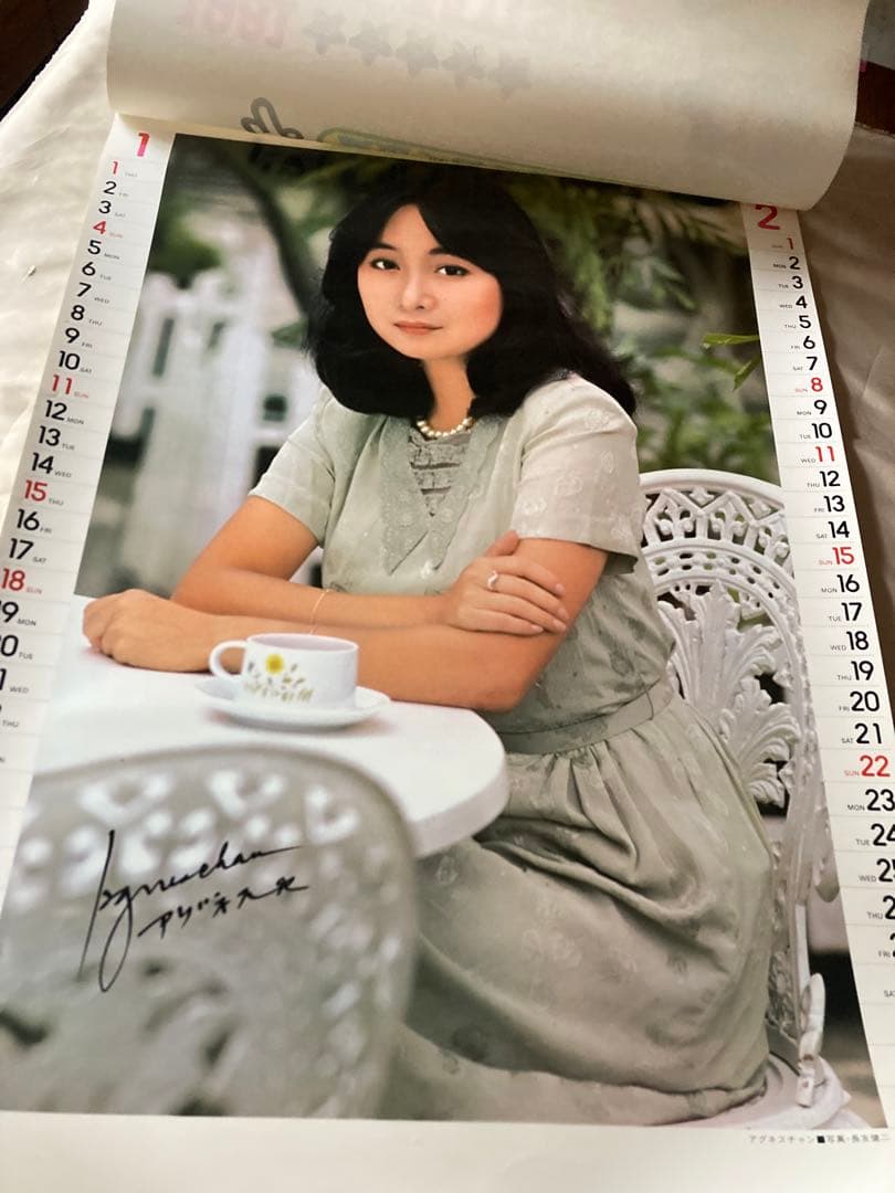 希少1981年 渡辺プロダクションカレンダー 沢田研二　石川ひとみ　太田裕美　他