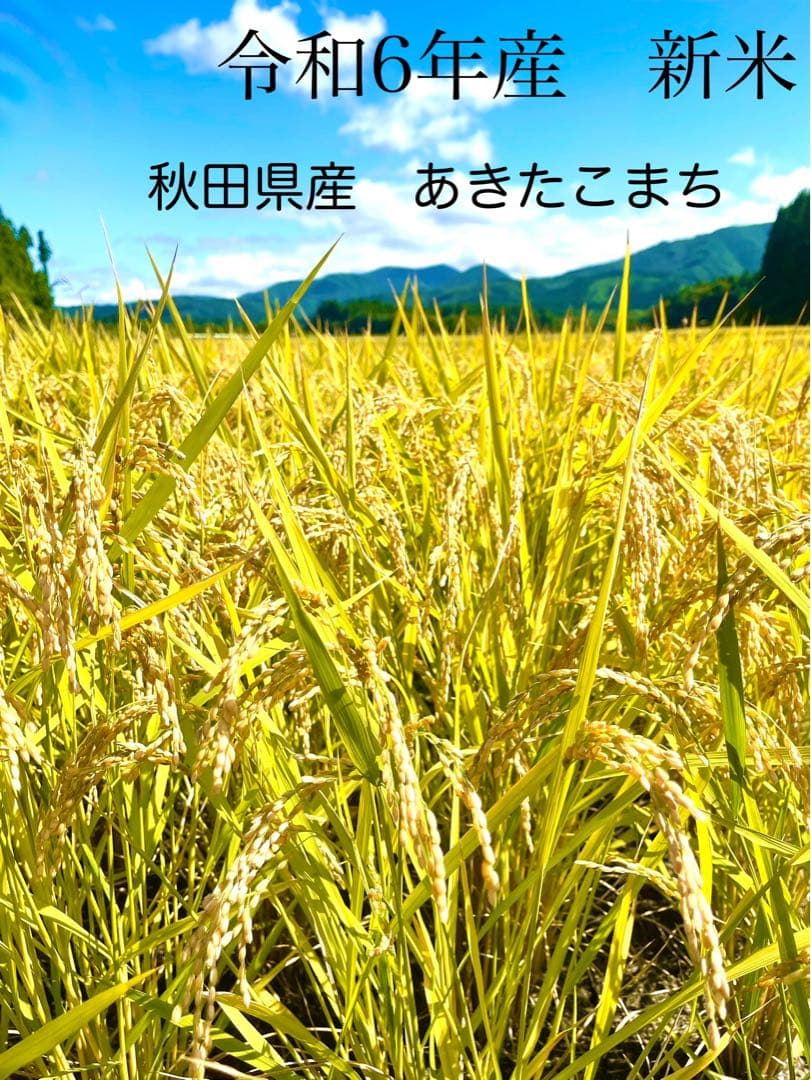 【toko】