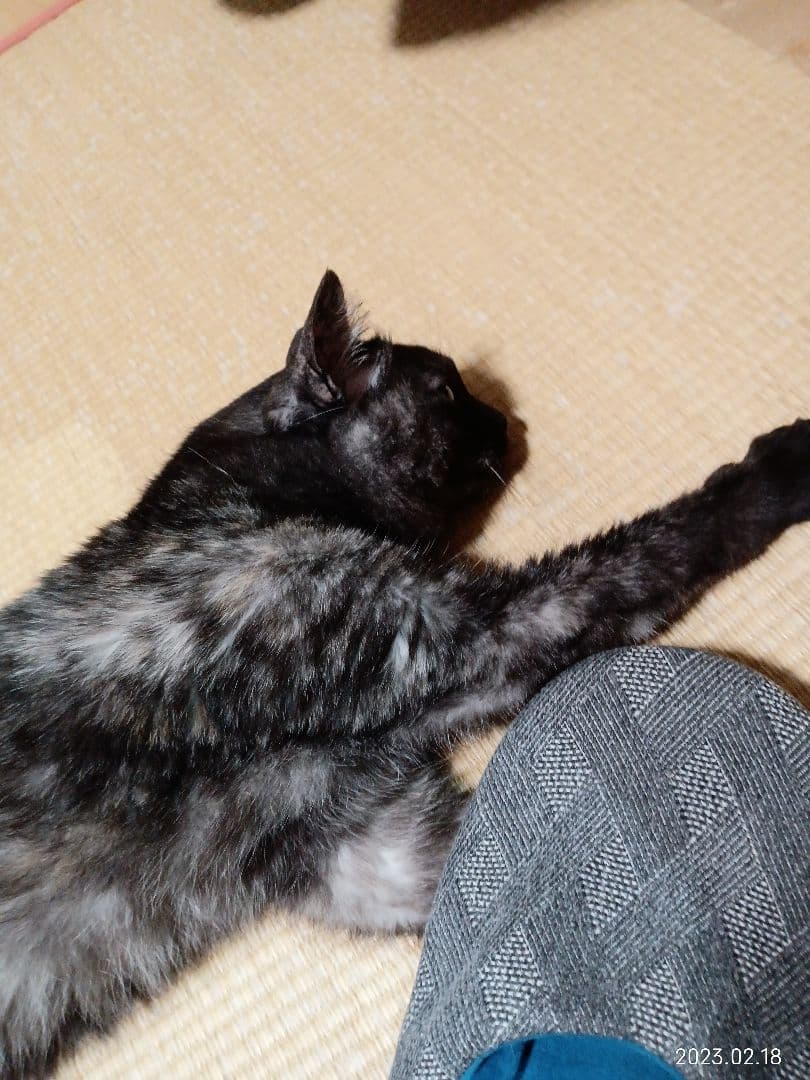 キーホルダー