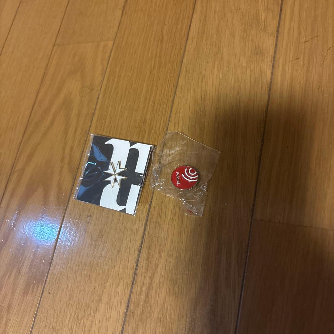 激レアマルタ館ピンバッジ（非売品）&ポーランド館ピンバッジ　セット