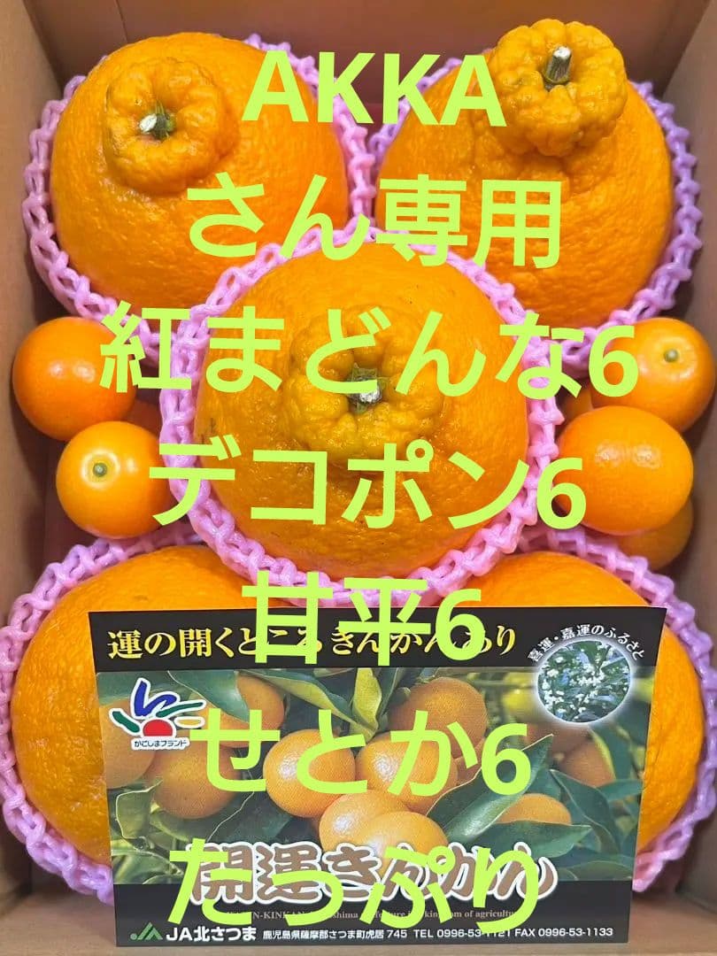 AKKAさん専用