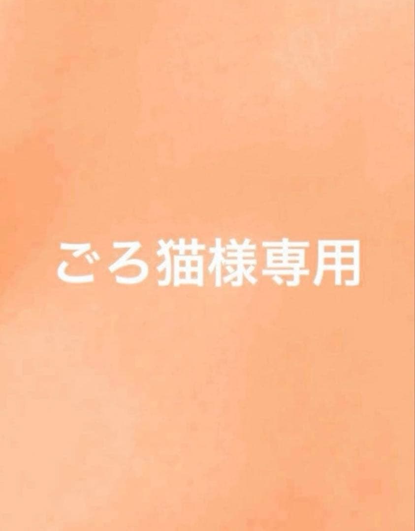 ごろ猫