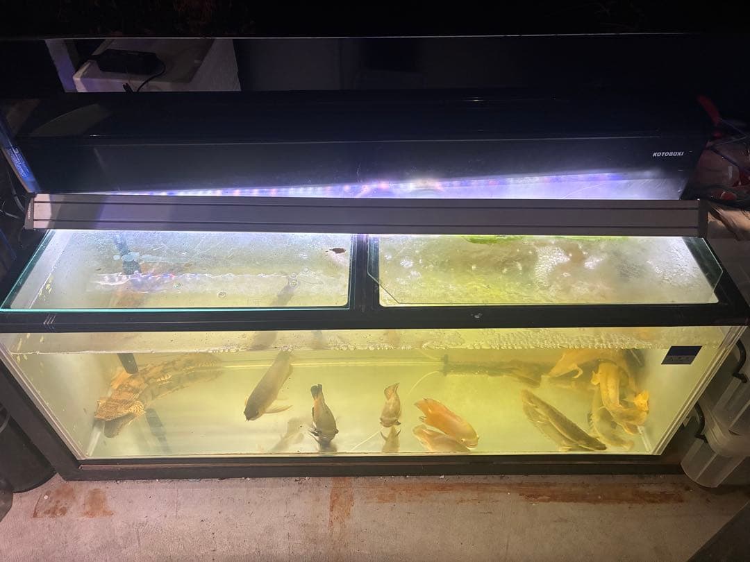 静岡県発！！！1200水槽　水槽　大型水槽　水槽用品