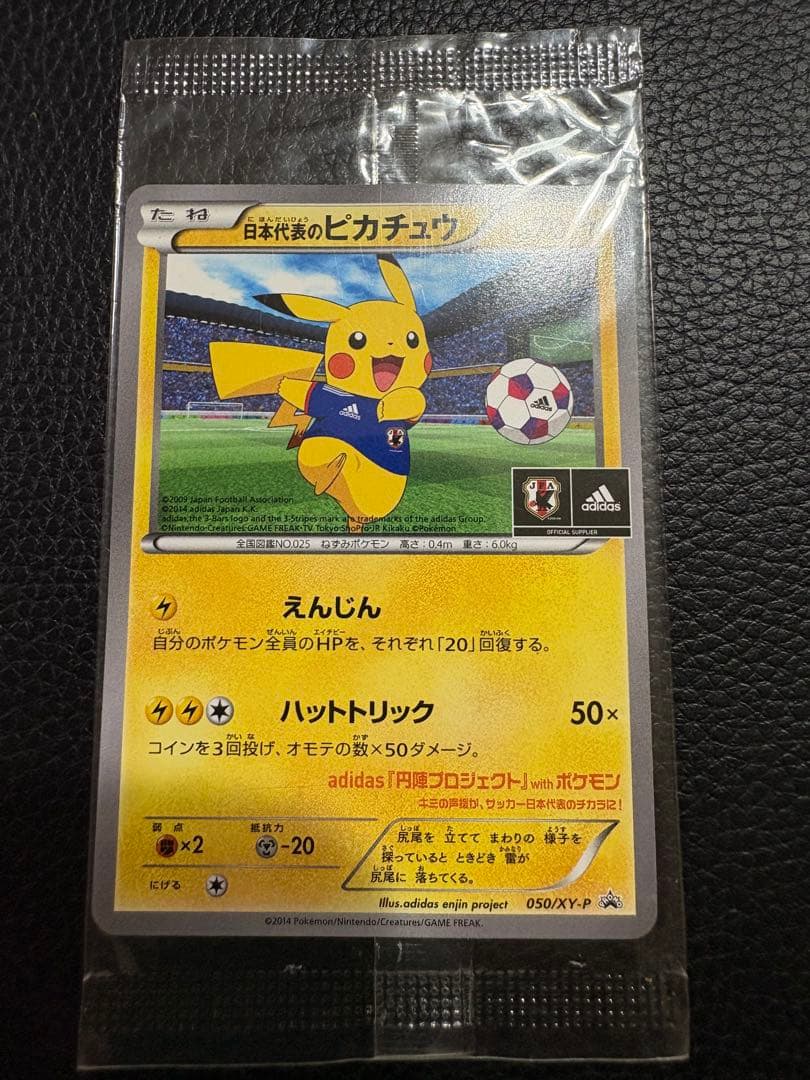 奥*森様 日本代表のピカチュウ