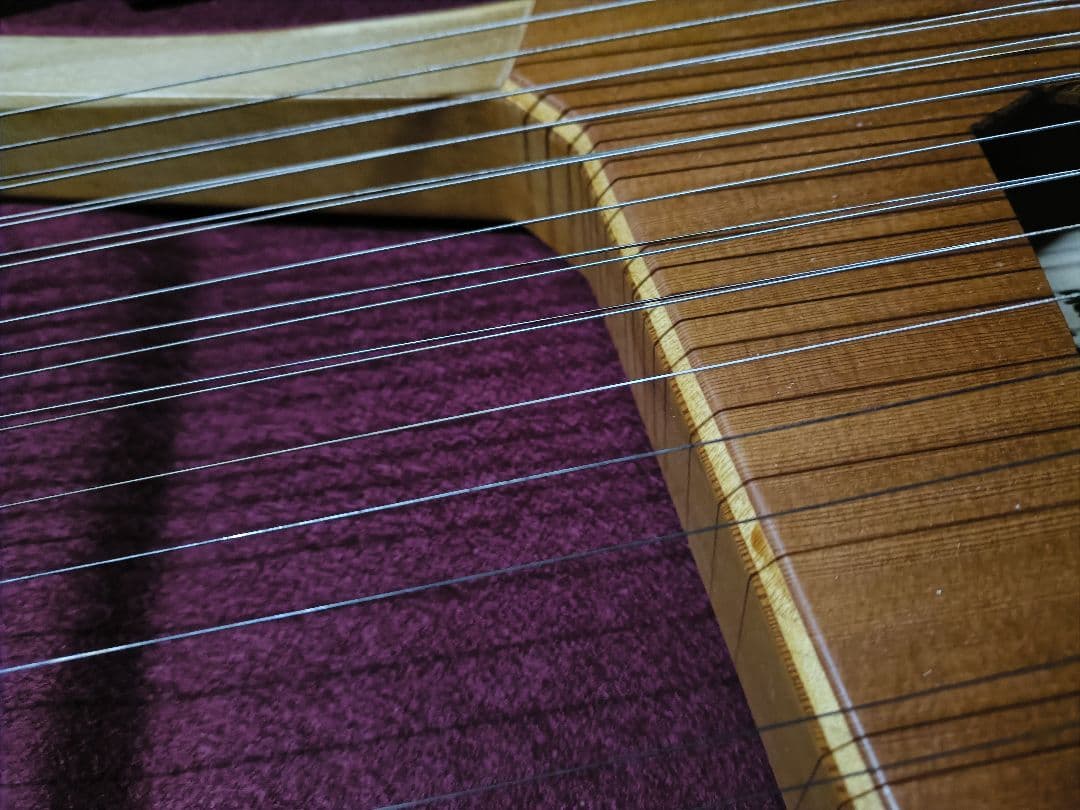 ライアー　ライヤー　35弦　コロイ　choroi　弦楽器　ハープ　竪琴　楽器