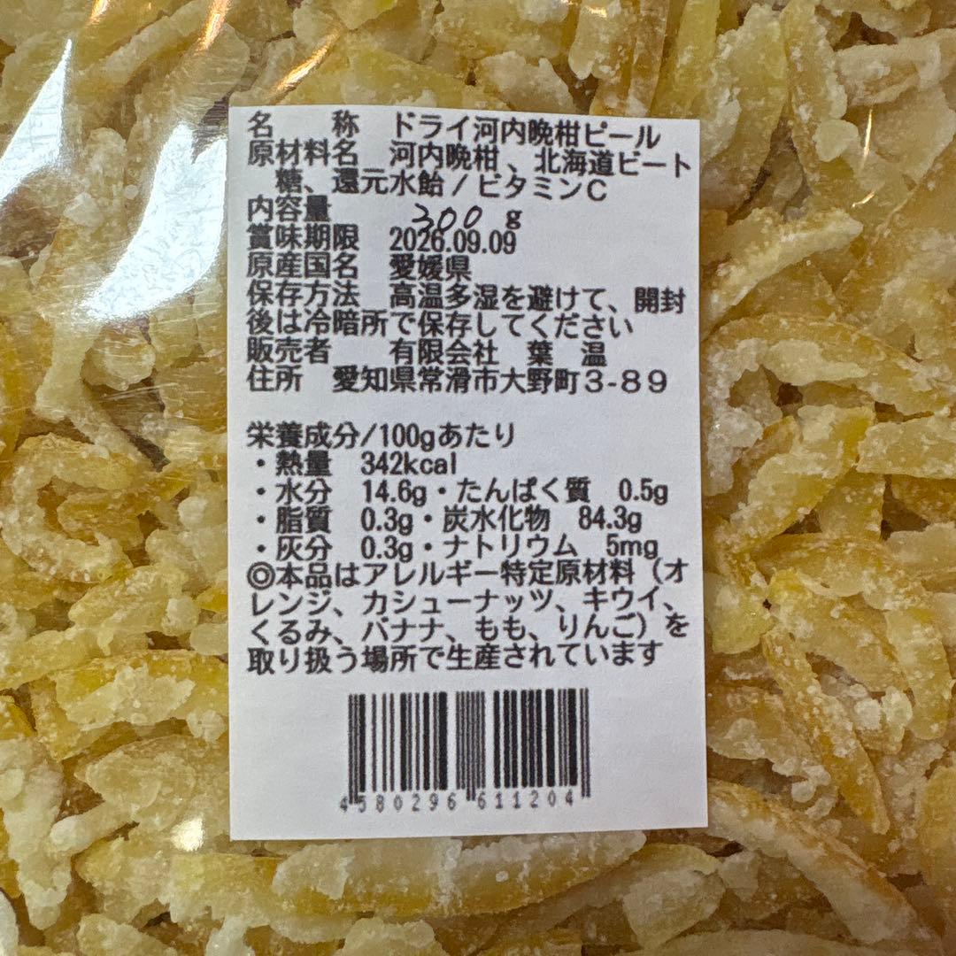 shinページ