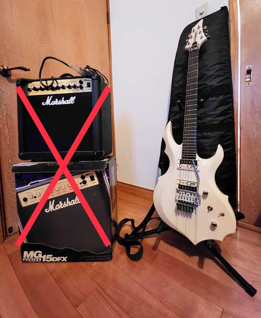 ギター Edwards E-FR-130GT