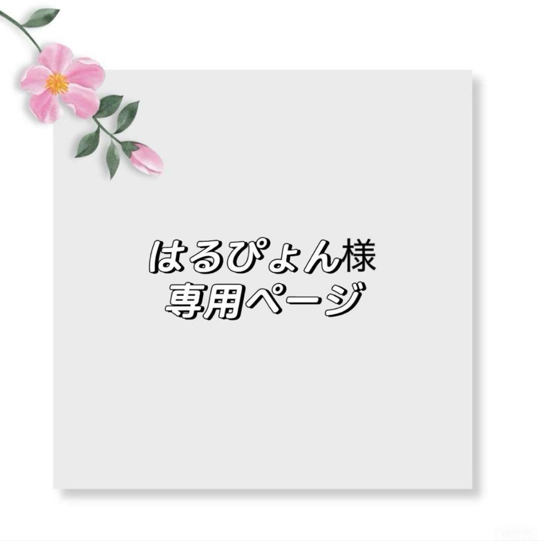 はるぴょんページ