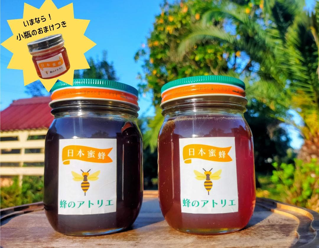 【おまけ付き！】国産ニホンミツバチの百花蜜 400g×2本 純粋はちみつ