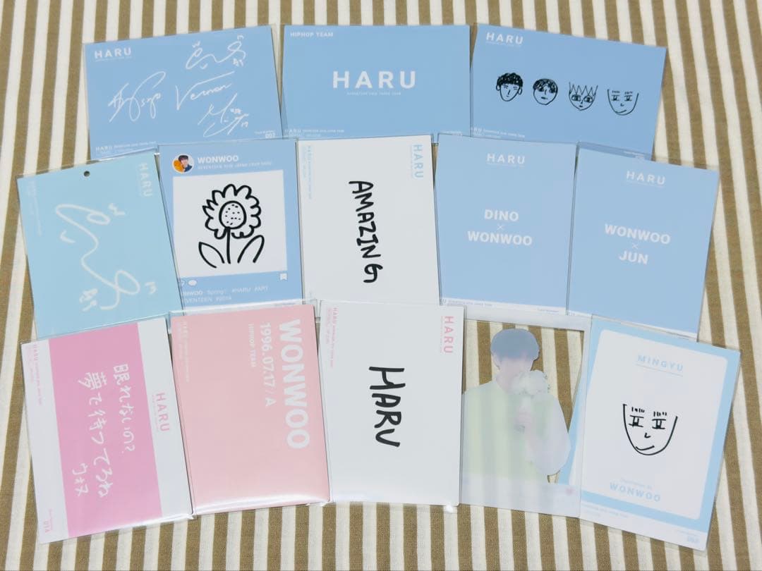 SEVENTEEN ウォヌ HARU トレカ コンプ 13枚セット