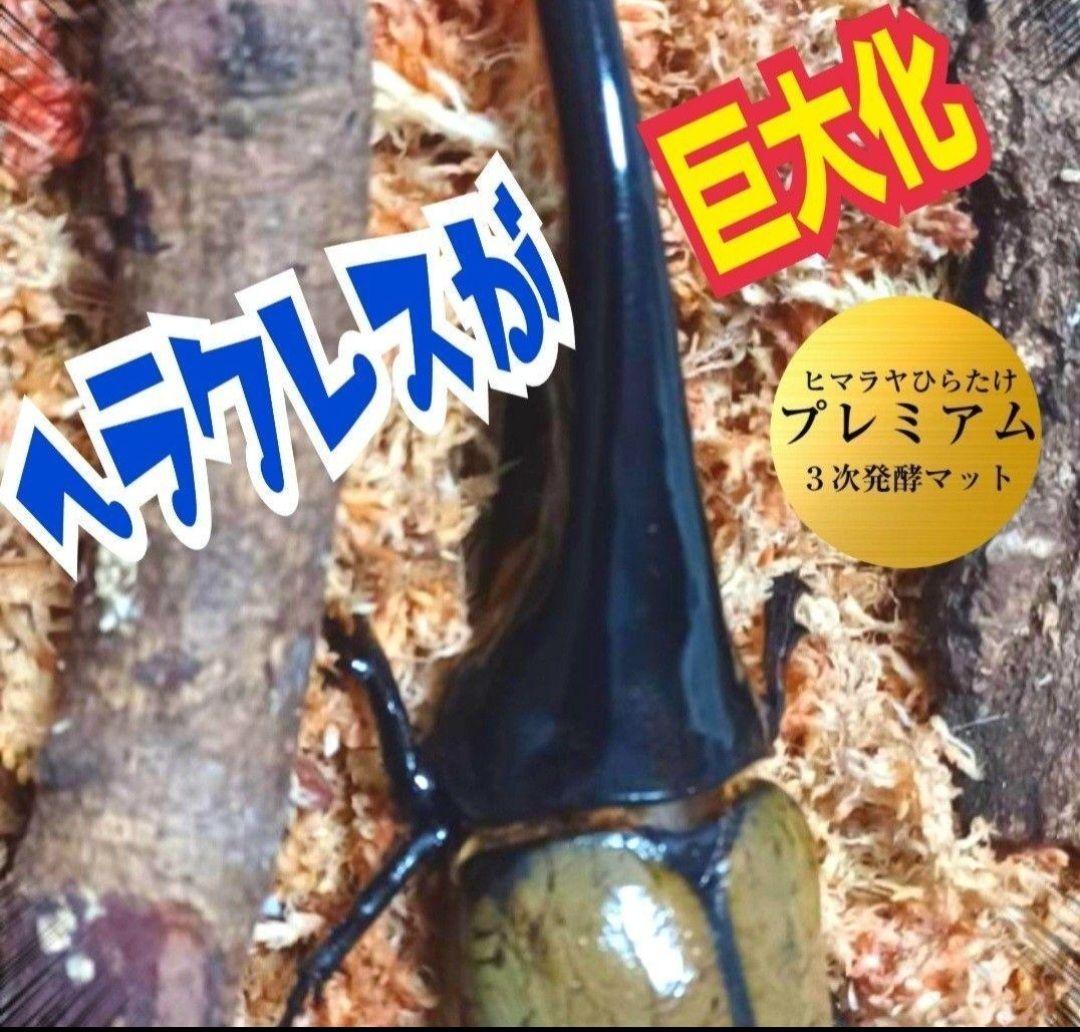ヘラクレス幼虫が大きくなる！プレミアム3次発酵カブトムシマット【60リットル】