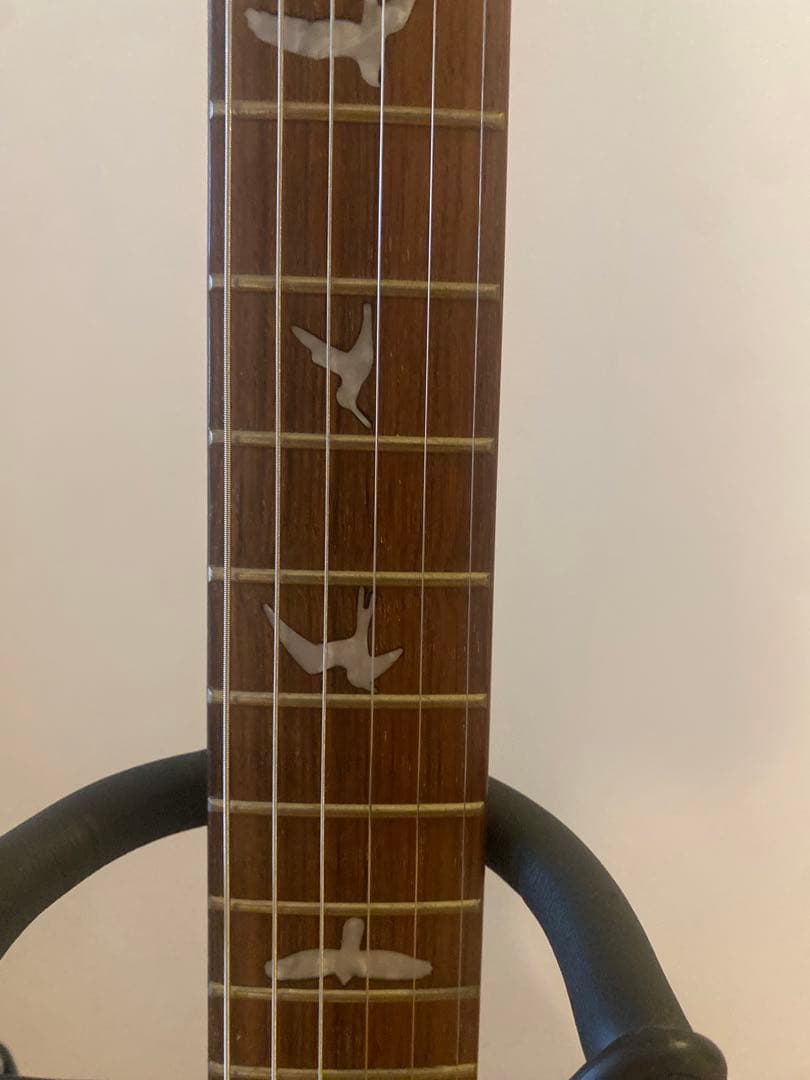 ギター PRS SE Custom 24