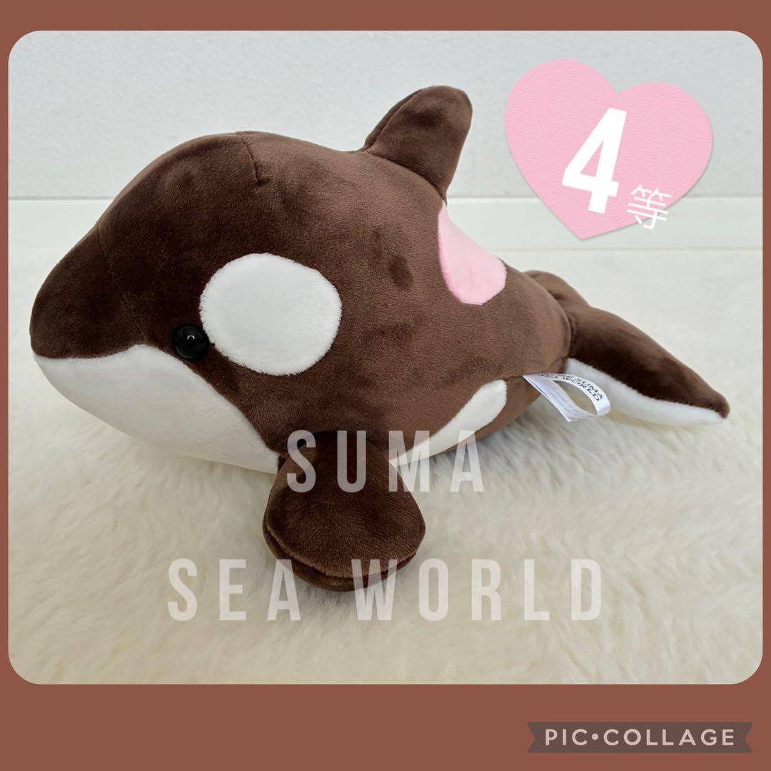 オルカくじ　 4等　ショコラ・デュオ　須磨シーワールド