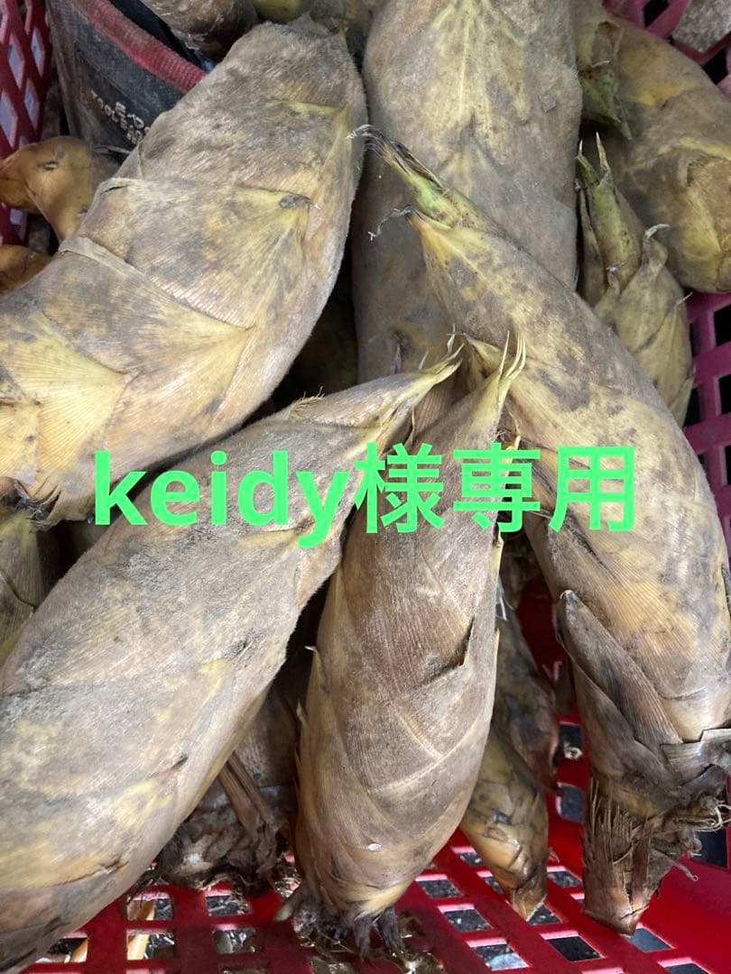 超早掘り筍3キロ(御節用)