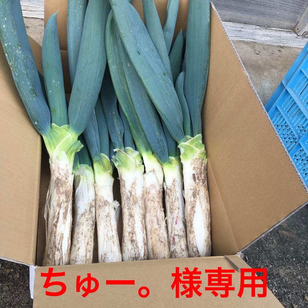 下仁田ネギ