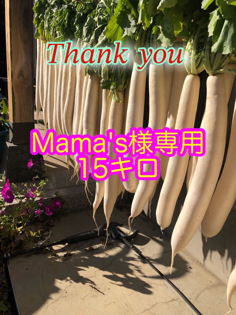 Mama's 15キロ