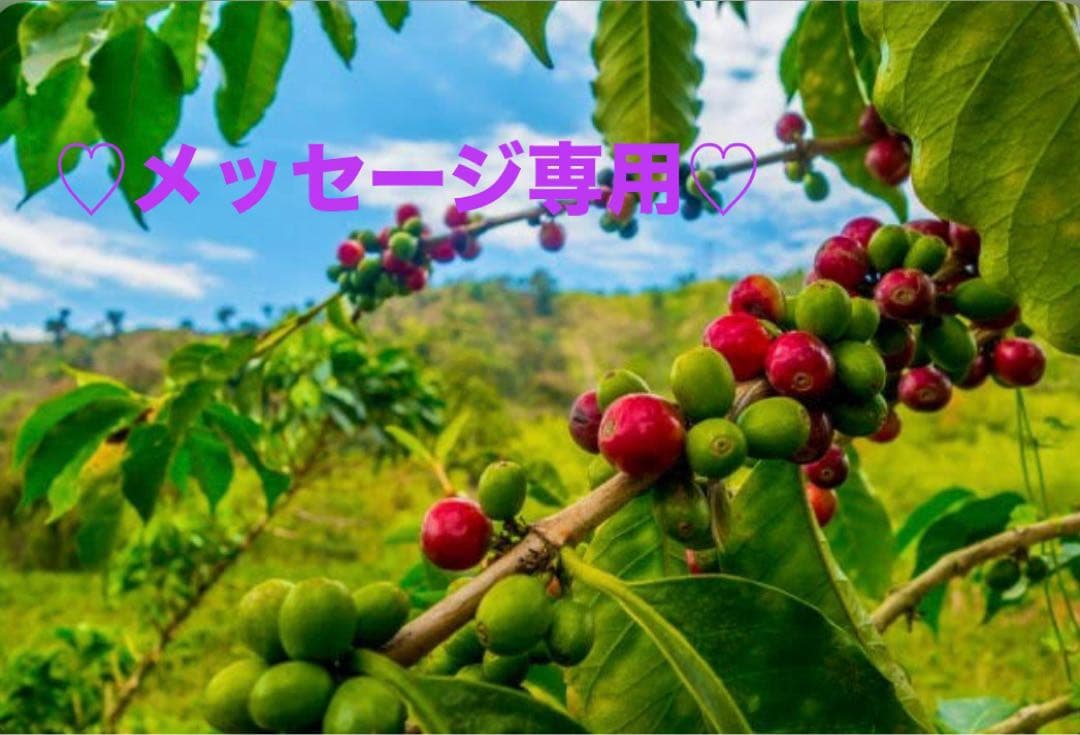 新鮮コーヒー