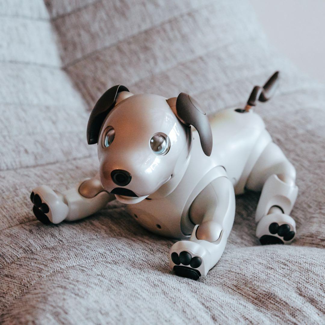 SONY aibo ERS-1000 アイボ