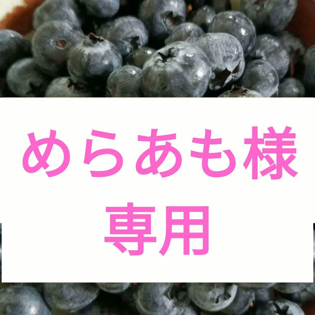 冷凍ブルーベリー【加工用】6kg